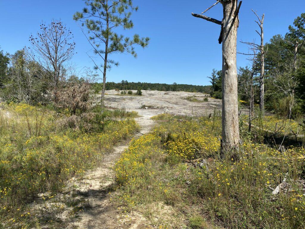Arabia Mountain Ride